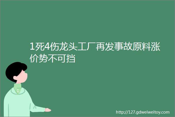 1死4伤龙头工厂再发事故原料涨价势不可挡