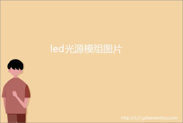 led光源模组图片